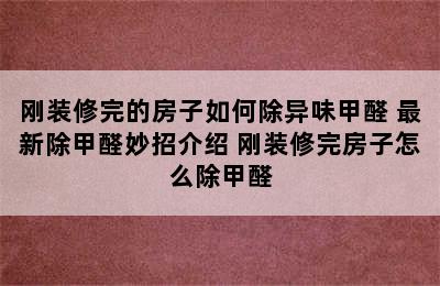 刚装修完的房子如何除异味甲醛 最新除甲醛妙招介绍 刚装修完房子怎么除甲醛